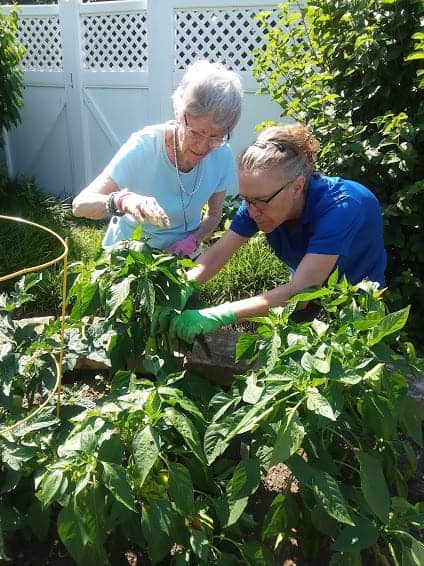 Resident in Memory Care gardens with the help of a caregiver