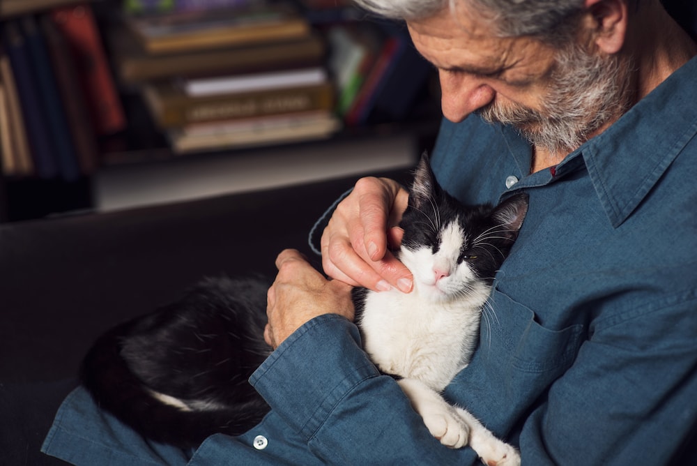 A senior man pets his cat