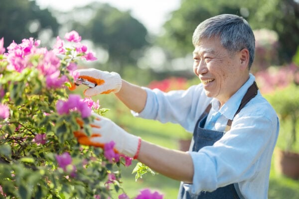 A senior man tending to the flowers in his garden