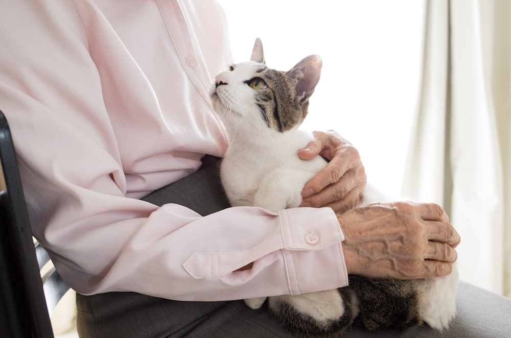 A senior woman pets her cat