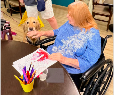 Memory Care Nursing Homes Reston VA