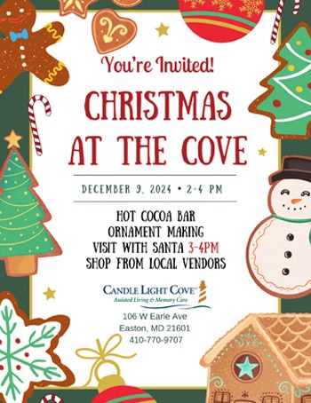Christmas at the Cove
