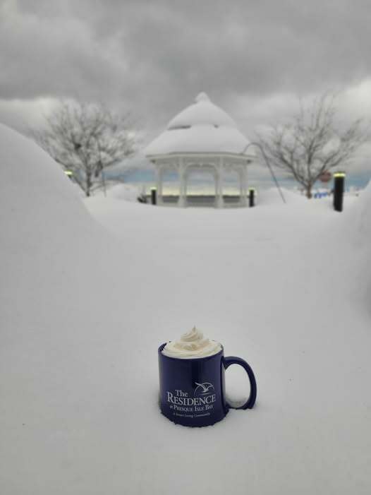 The Residence at Presque Isle Bay Snow Mug