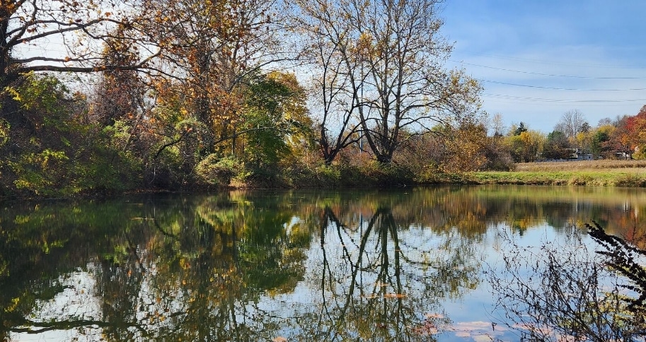 A scenic view of The Residence at Fitz Farm