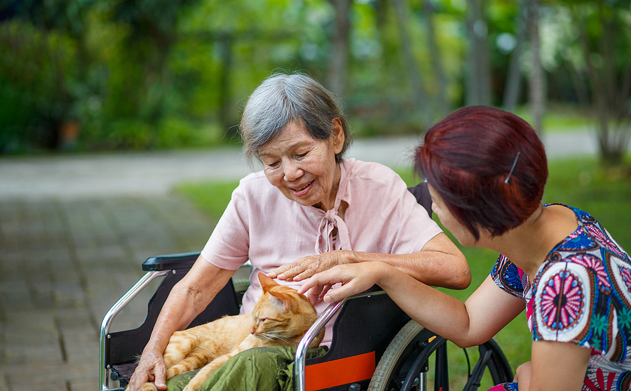A woman with her cat enjoy the grounds of Fitz Farm