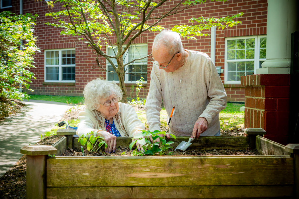 senior working in a gardening box