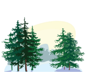 Pines at Mount Lebanon - Pine Tree Icon - Logo - 300x300