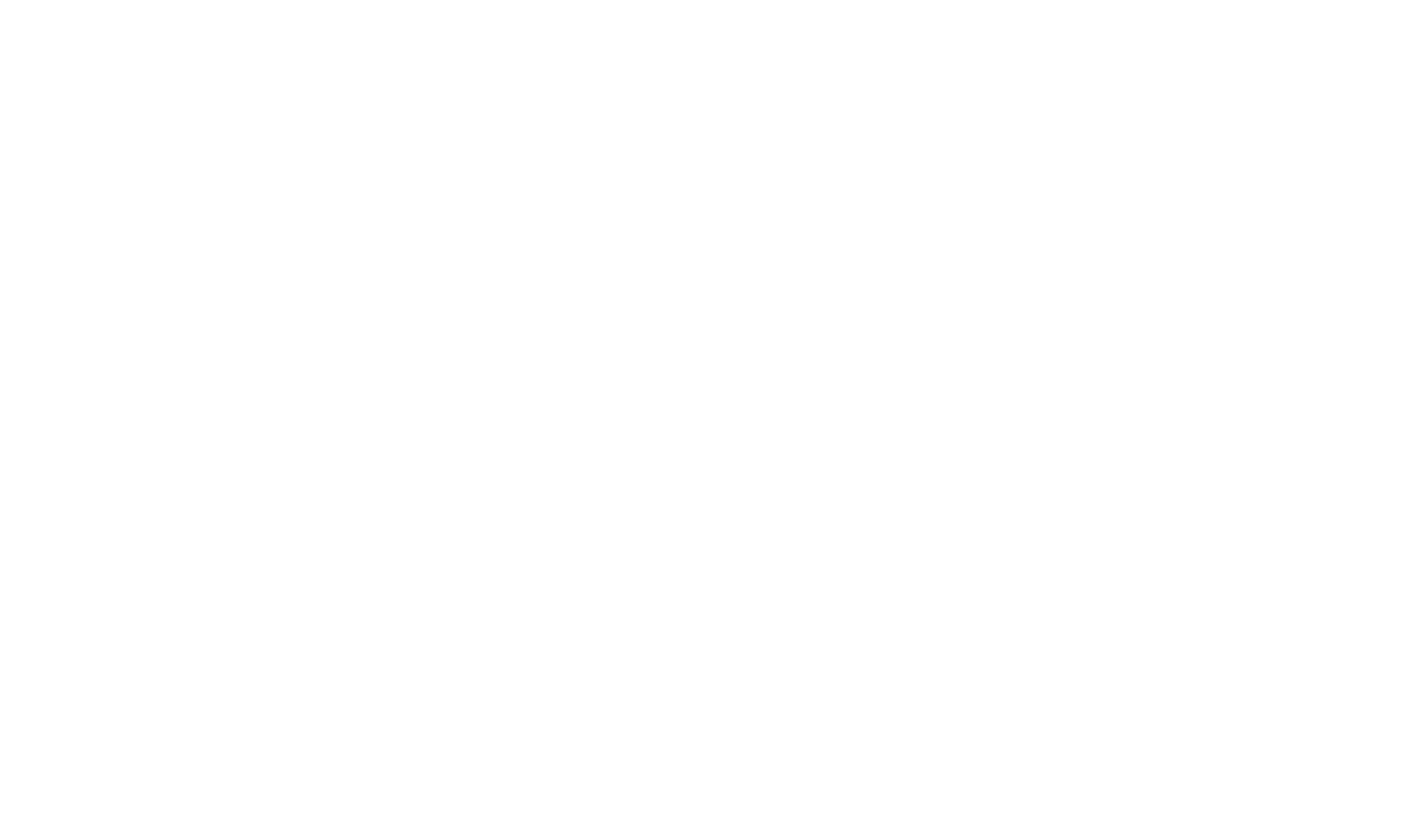 Chestnut Ridge White Logo