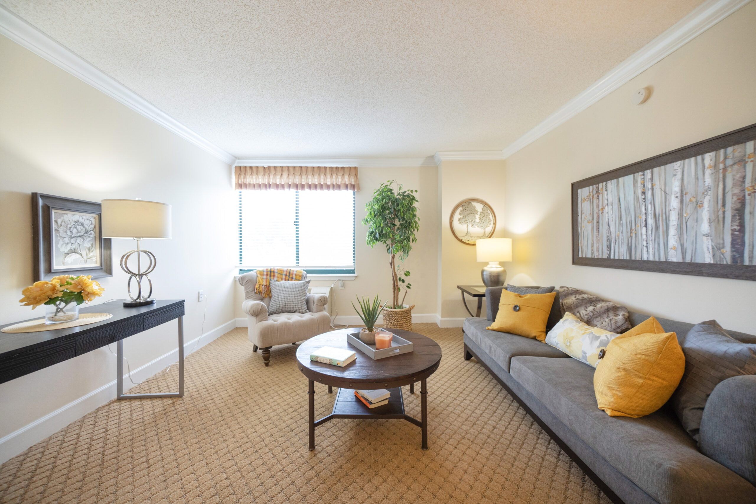 Chestnut Ridge Aparatment