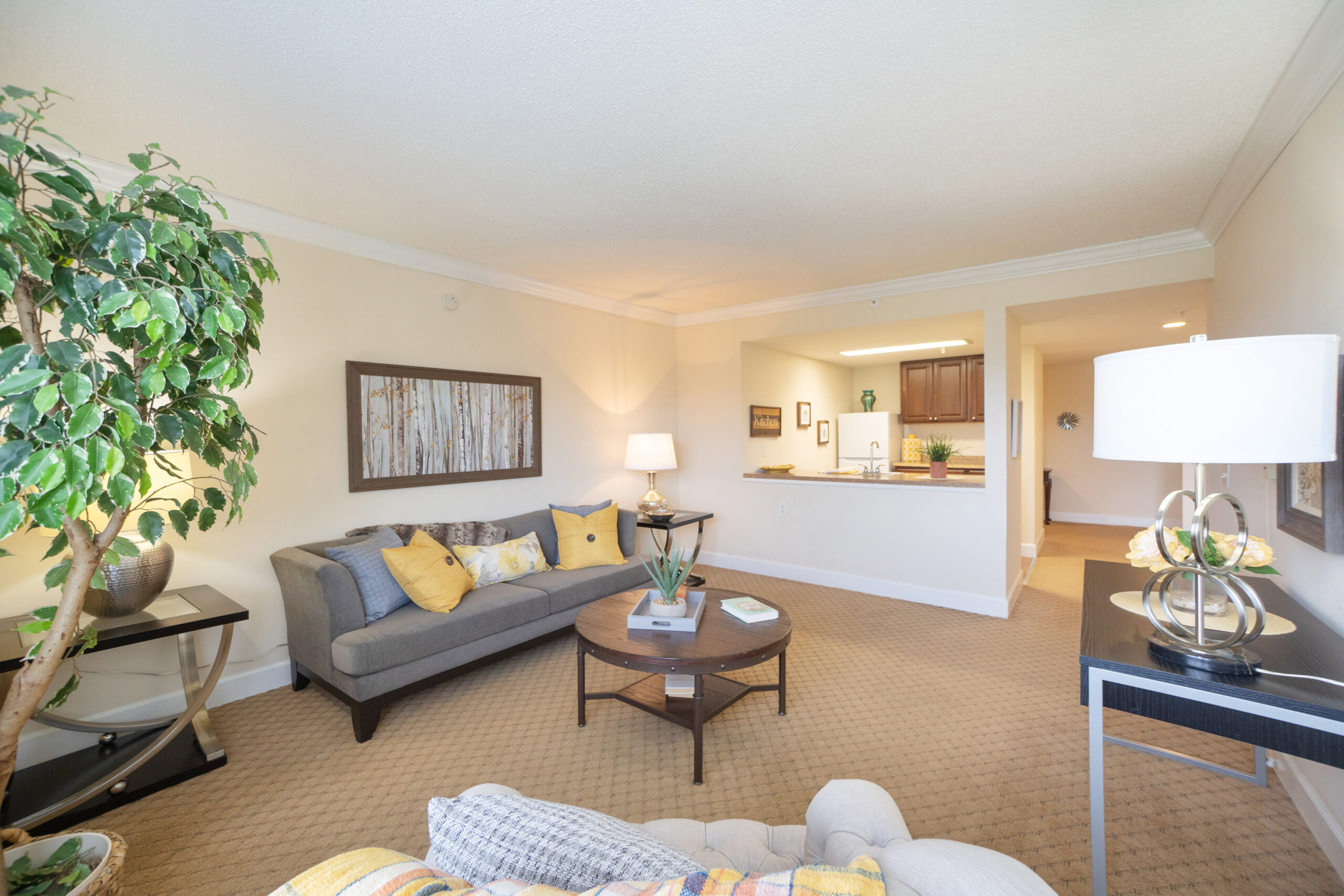 Model living room at Chestnut Ridge