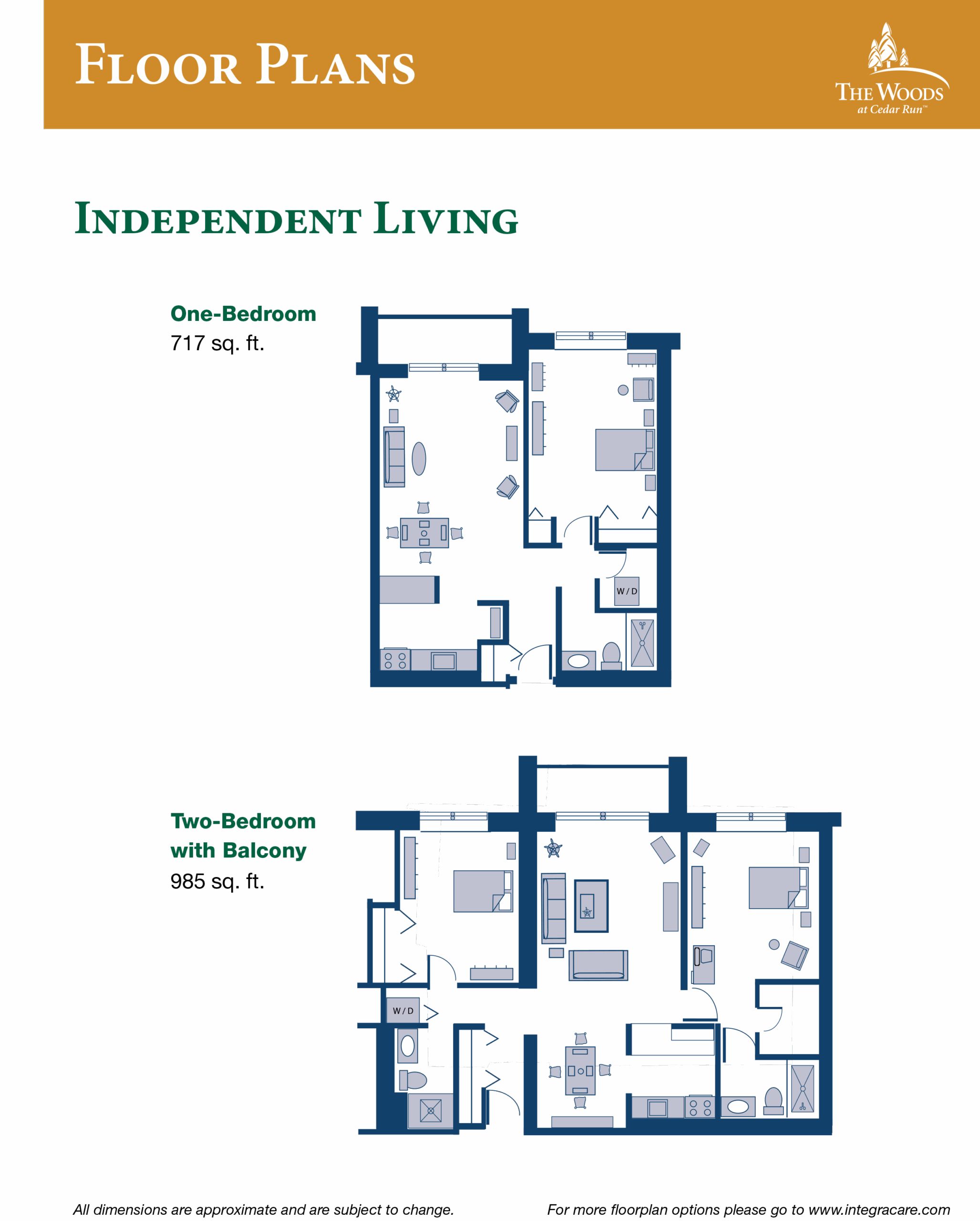 Independent Living Options